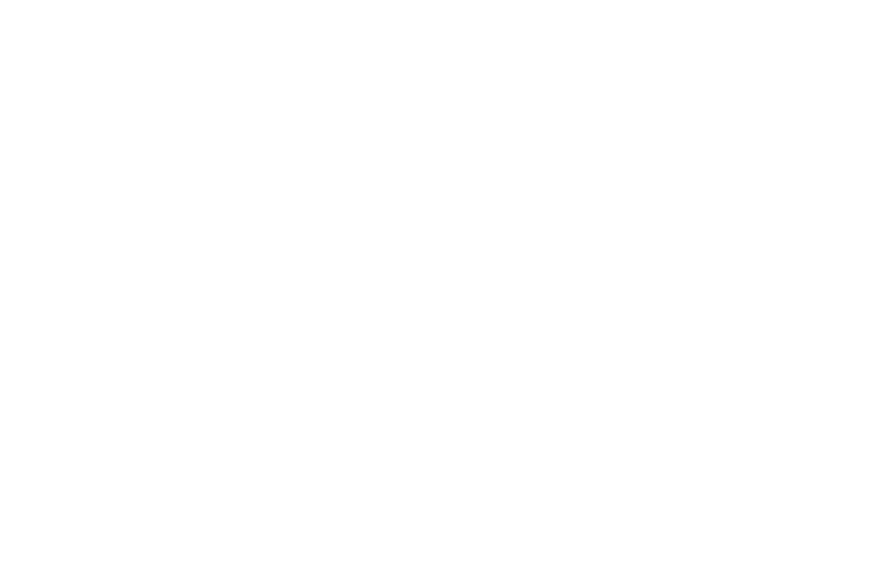 lic_OOB_1